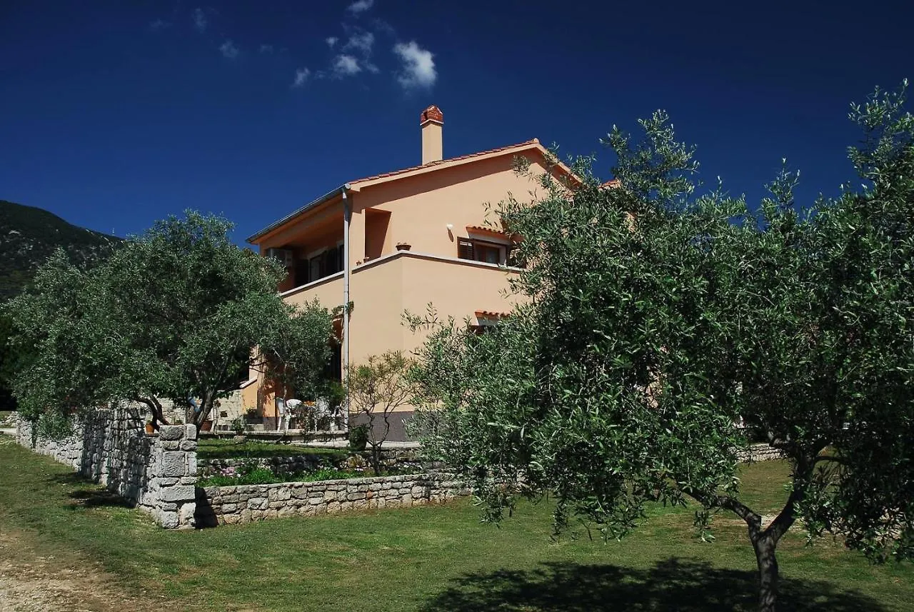 بيت ضيافة فندق House Alexandra نيغيزيني