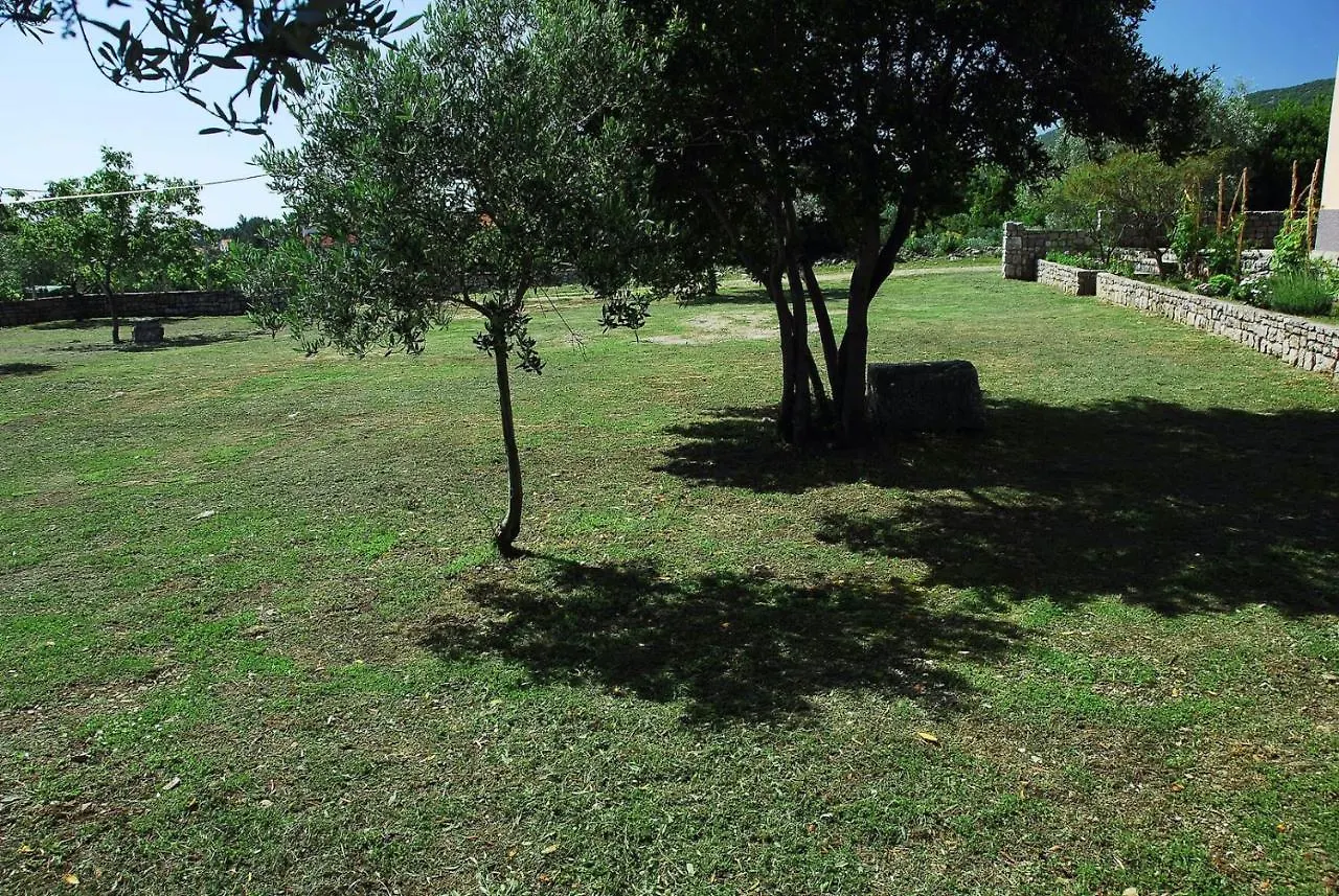 بيت ضيافة فندق House Alexandra نيغيزيني