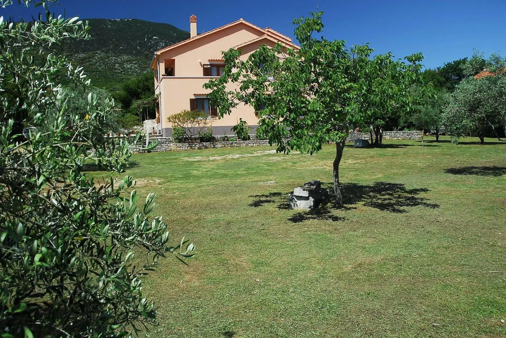 بيت ضيافة فندق House Alexandra نيغيزيني